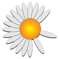 Русская ночь